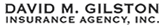 David M. Gilston's logo David M. Gilston's Company logo
