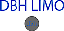 Dbhlimo's logo Dbhlimo's Company logo