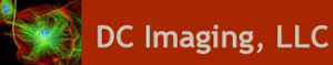 DC Imaging's logo DC Imaging's Company logo