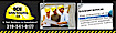 Dcn Safety Consulting