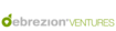 SilverStream Capital's Competitor - Debrezion Ventures logo