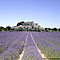 Destination Provence - Agence De Voyages