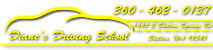 Diane's Driving School's logo Diane's Driving School's Company logo