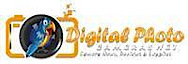 Digital Photo Cameras's logo Digital Photo Cameras's Company logo