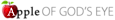 Digital Revenue's company profile