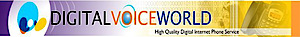 Digital Voice World's logo Digital Voice World's Company logo