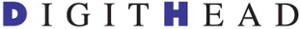 DigitHead's logo DigitHead's Company logo