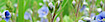 Direct Sales Natural Products