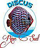 Discus Rive Sud's logo Discus Rive Sud's Company logo