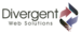 Divergent Web Solutions's company profile