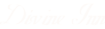 Divine Inn