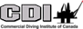 Diving Dynamics