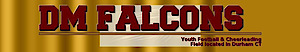 Dmfalcons's logo Dmfalcons's Company logo