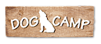 Dog Camp Pet Boarding