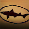 Dogfish Head Craft Brewery Inc