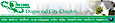 Dogwood City Chapter Of Links