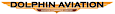 Dolphin Aviation's company profile