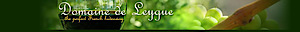Domaine De Leygue's logo Domaine De Leygue's Company logo
