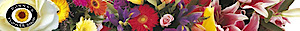 Donnasflowershop's logo Donnasflowershop's Company logo