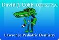 Dr. David Cobb The Kid's Dentist