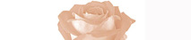 Drfranklinrosemd