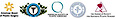 Dr. William J. Vasileff | Board-certified Plastic Surgeon