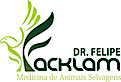 Dr Felipe Facklam