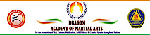 Dragonacademylko's logo Dragonacademylko's Company logo