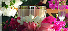 Dream Castle Villa's logo Dream Castle Villa's Company logo