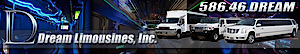 Dreamviplimos's logo Dreamviplimos's Company logo