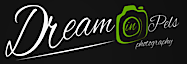 Dreaminpels's logo Dreaminpels's Company logo