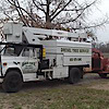 Treeserviceherrinil