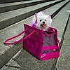 Dressed To Impress Doggie Spa