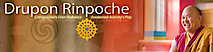 Drupon Rinpoche's logo Drupon Rinpoche's Company logo