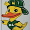 BMS Direct's Competitor - Duck's Locksmithing logo