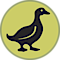Duck's Nest Preschool