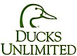Ducks