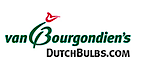 DutchBulbs's logo DutchBulbs's Company logo