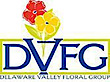 DVFG