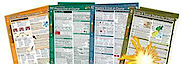 DynaStudy's logo DynaStudy's Company logo