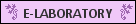E-laboratory Network