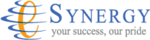 Esynergy Corp's logo Esynergy Corp's Company logo