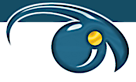 Eagle Imusic's logo Eagle Imusic's Company logo