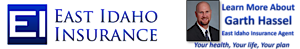 East Idaho Insurance's logo East Idaho Insurance's Company logo