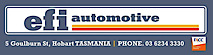 EFI Automotive's logo EFI Automotive's Company logo