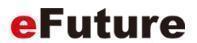 eFuture's logo eFuture's Company logo