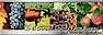 Credit Cba's Competitor - Eldorado County Farm Bureau logo