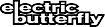 Electric Butterfly's company profile