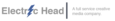 Electric Head's company profile