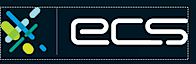 Electronic Cash Systems's logo Electronic Cash Systems's Company logo